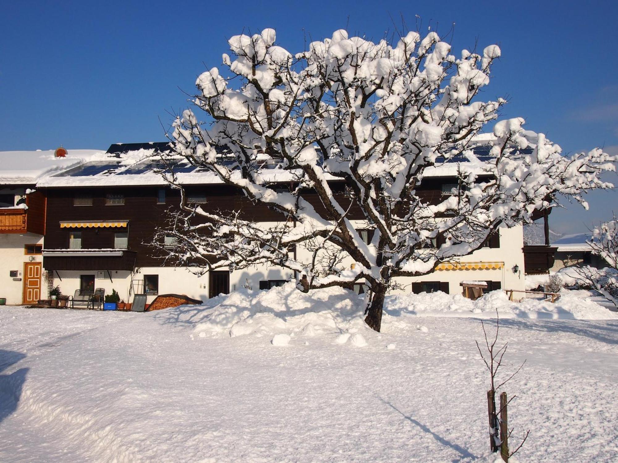 Pension Wagnerhof 오베라우도프 외부 사진